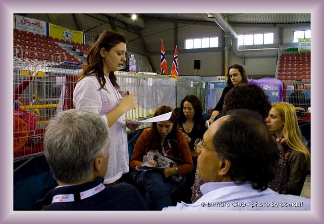 Foto successiva